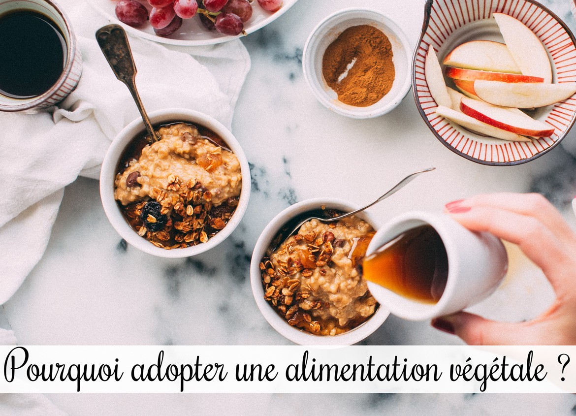 Pourquoi adopter une alimentation vegan (végétale) ?